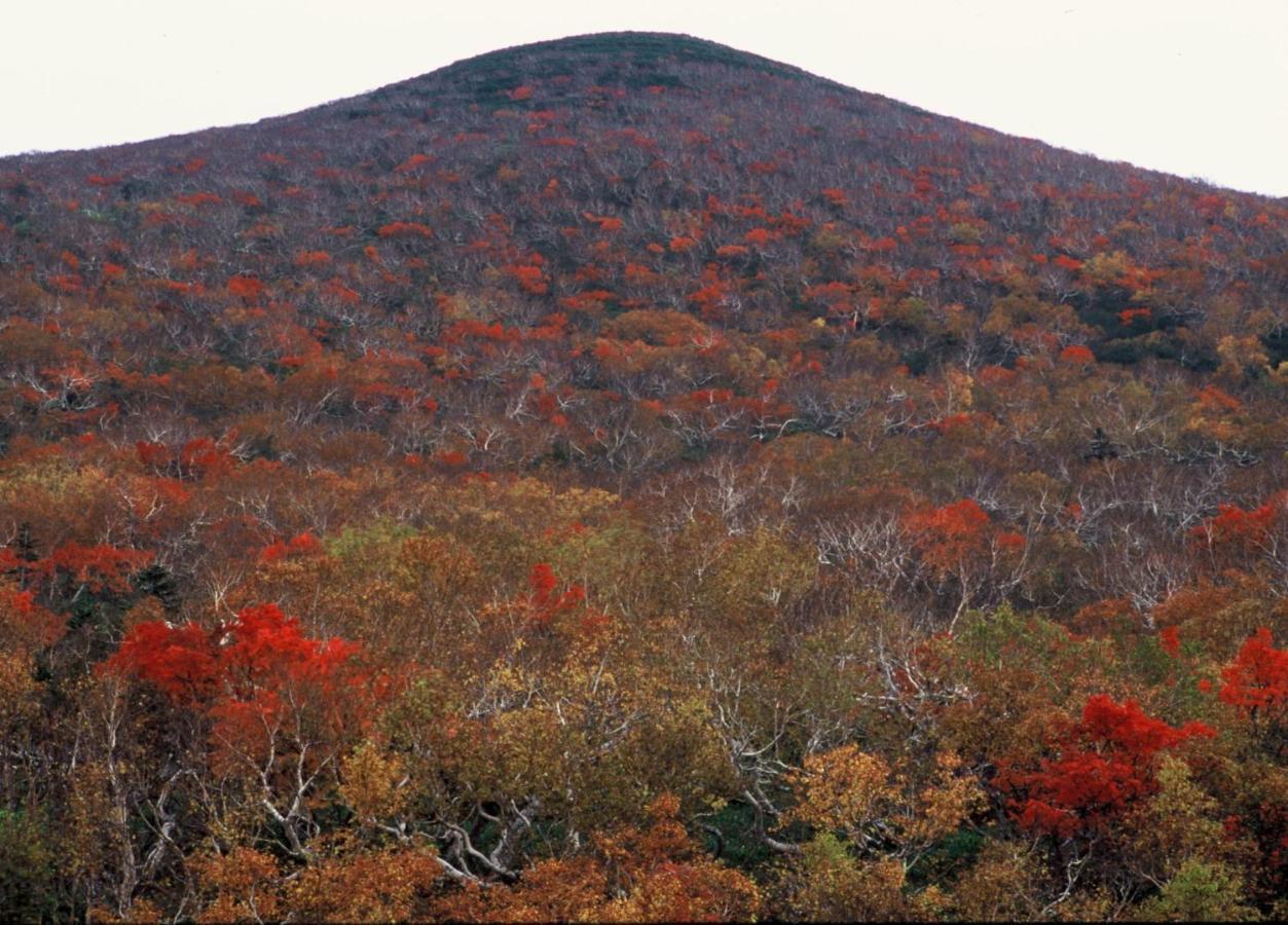 NY Building 4th Floor, Guest House Ichibangai, Roo / Vacation STAY 55905 Kitami Bagian luar foto